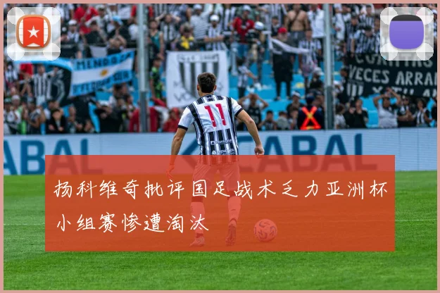 扬科维奇批评国足战术乏力亚洲杯小组赛惨遭淘汰