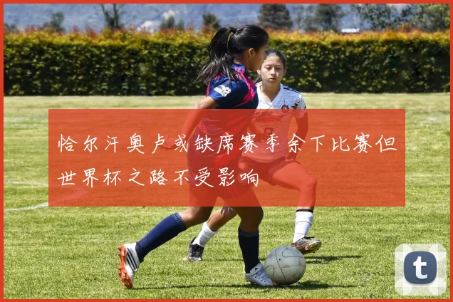 恰尔汗奥卢或缺席赛季余下比赛但世界杯之路不受影响
