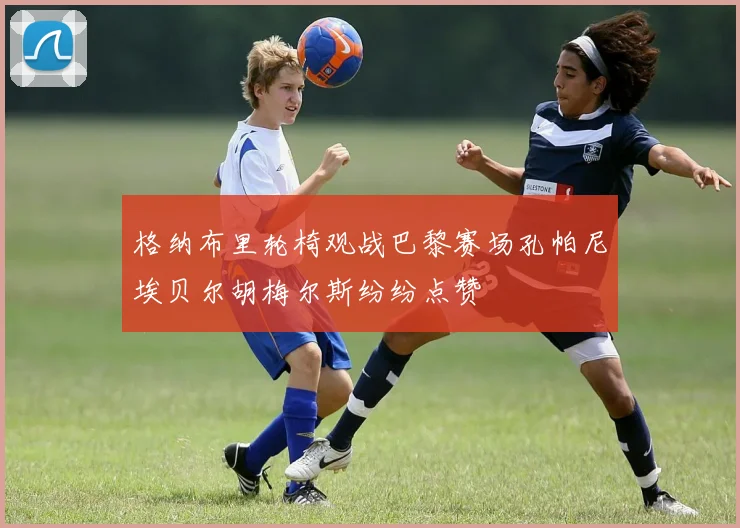 格纳布里轮椅观战巴黎赛场孔帕尼埃贝尔胡梅尔斯纷纷点赞